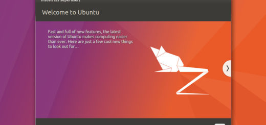 Ubuntu 17.04 Installation - 10 Installing