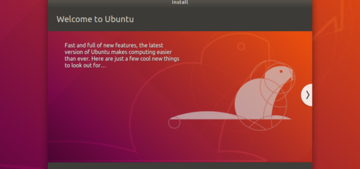 Ubuntu 18.04 Installation - 10 Installing