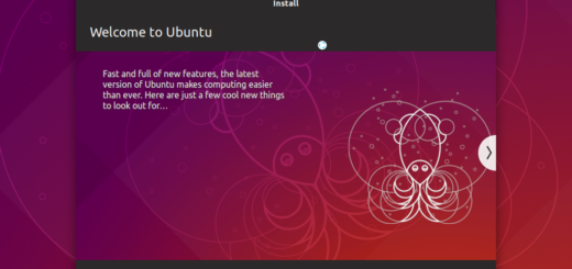 Ubuntu 18.10 Installation - 10 Installing